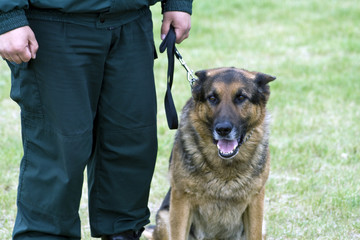 Bordeguard officer with german shepherd on K-9 training.