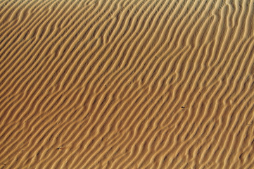 rechauffement climatique