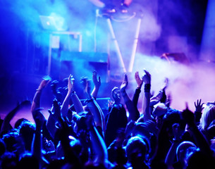 Cheering crowd at concert