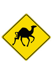 Camel - Road-Sign