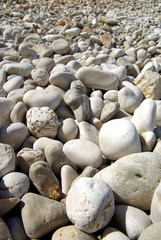 Pebble-beach close-up