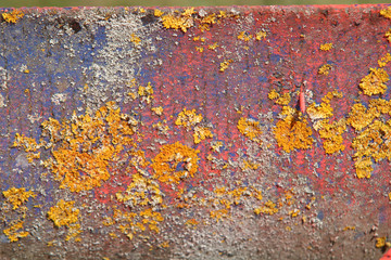 Distressed Paint Overspray and Lichen