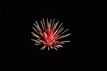 Fototapeta premium flower of light