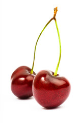 cherry on white background
