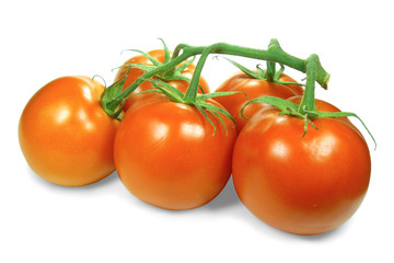 Red Tomatoes