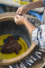 Obraz premium hands of fisherman