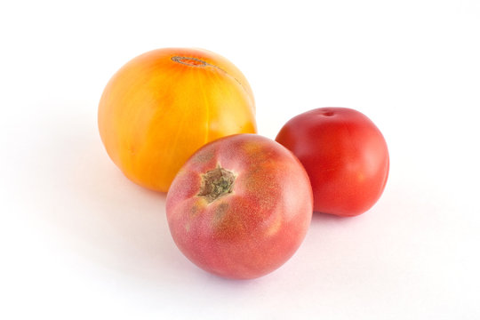 Three many-coloured tomatoes