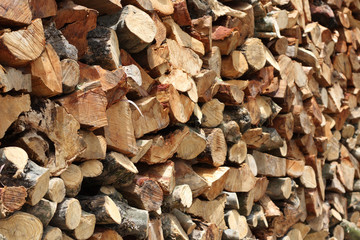 Firewood