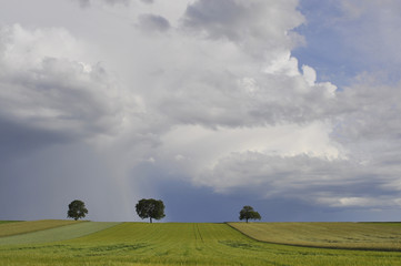 Landschaft nach einem Gewitter