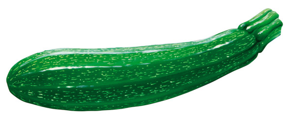 Zucchini