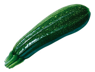 Zucchini