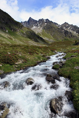 Fototapeta na wymiar Bergbach - Górski potok