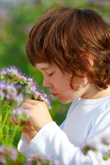 Kleiner Junge riecht an einer Blume
