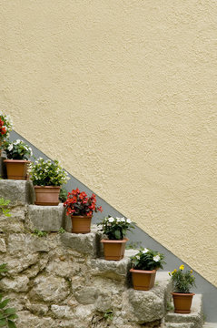 vasi di fiori sulle scale