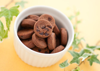 Chocolate chip cookie