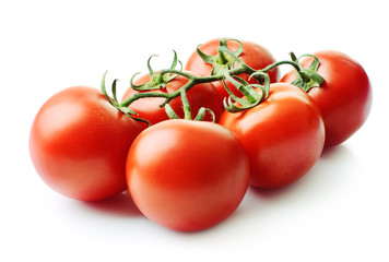 tomatoes