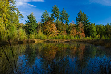 Fototapeta na wymiar Landscape of a lake with colorful autumn trees