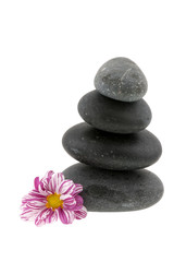 Hot stones with flower