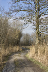 der weg