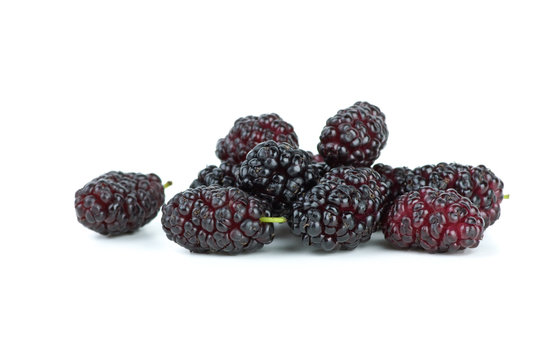 Few black mulberries