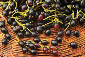 Black currants