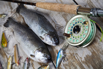 Fishing spinner