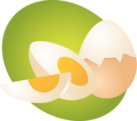 Egg illustration