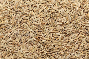 cumin seeds