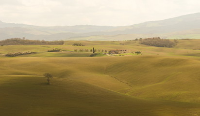 Obraz premium Tuscany countryside in spring