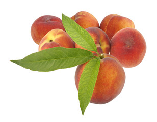 Pêches