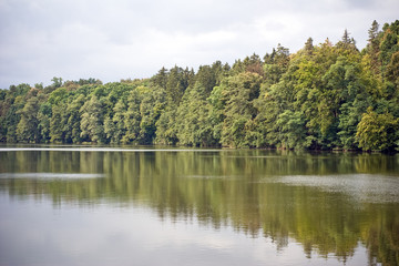Forest lake