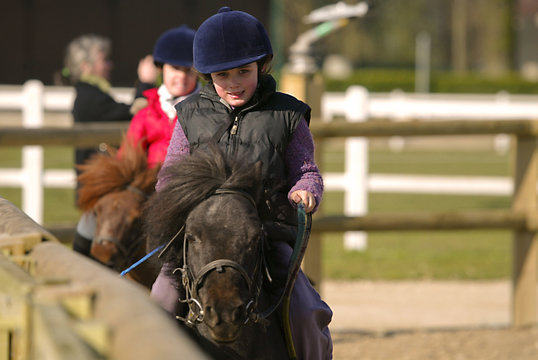 Poney