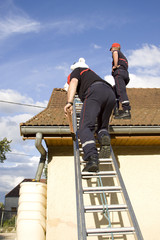 fireman and wasps' nest