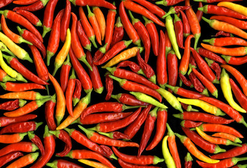 Red chili peppers background