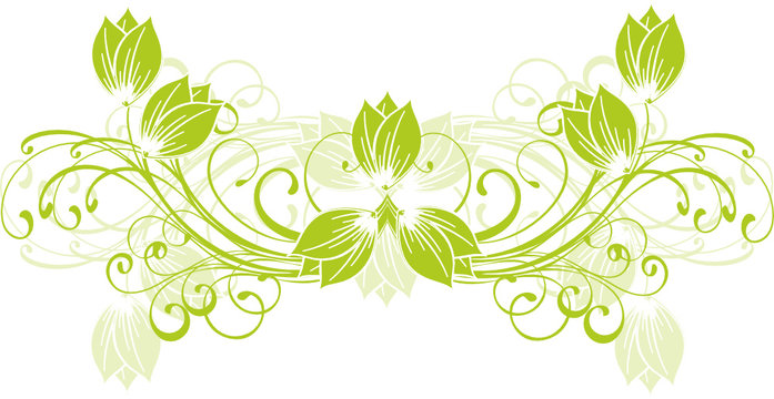 floral &eacute;colo vert tulippe