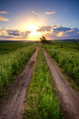 country road under sunset