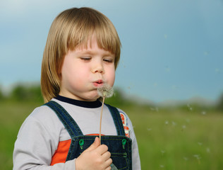 The boy and a dandelion