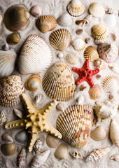 Shells