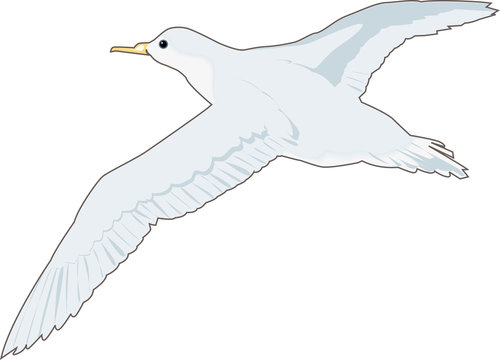 Albatros