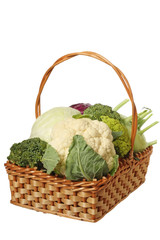 Cabbage in a basket