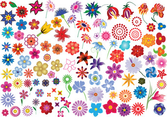 Set of colorful vector floral elements