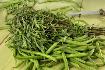 Bohnenkraut und Bohnen