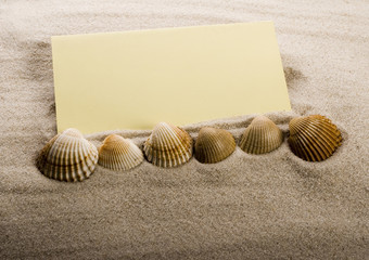Shell, sand & sheet of paper