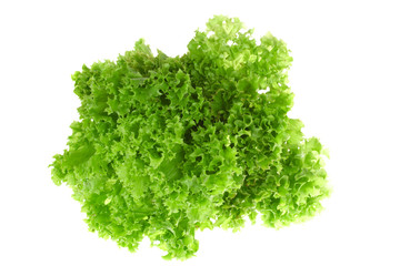 green Lettuce