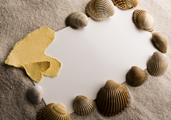 Summer paper letter with shell