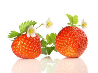 Erdbeeren mit Erdbeerblüten