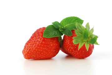 Fragole - Fragaria vesca