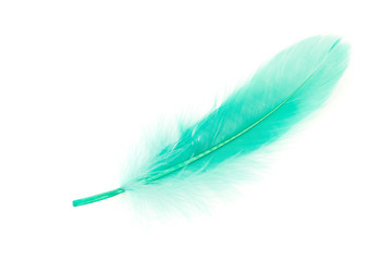 Green Feather