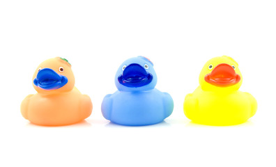 Three colorful rubber ducks on white