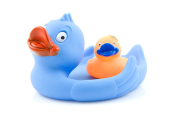 Colorful rubber ducks on white